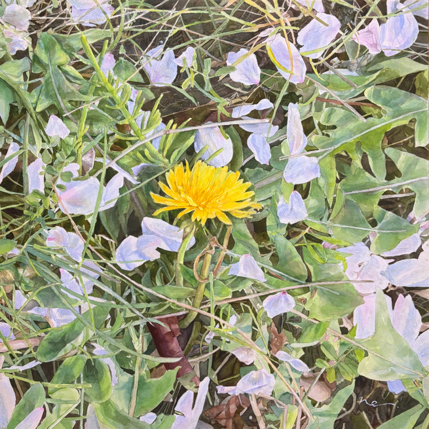 春、足元の祝福